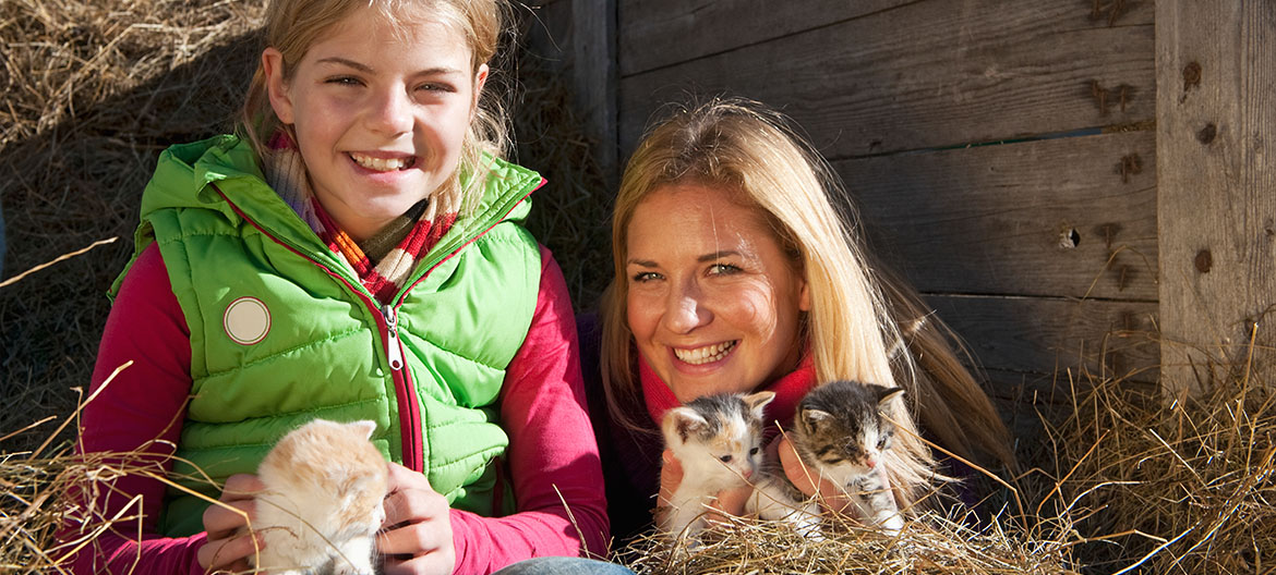 Urlaub am Bauernhof in Radstadt - Ferienwohnungen am Bleiwanghof