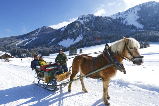 Winterurlaub in Radstadt - Pferdeschlittenfahrten