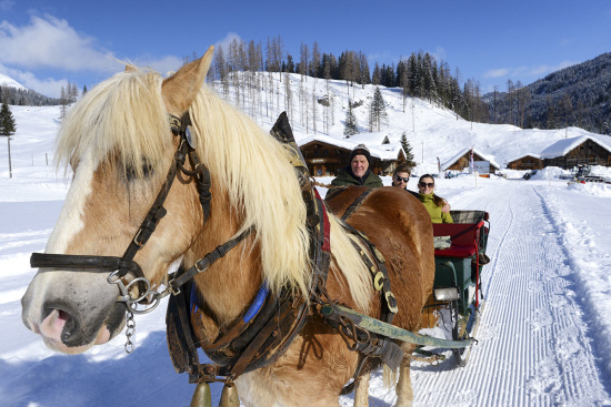 Winterurlaub in Radstadt - Pferdeschlittenfahrten